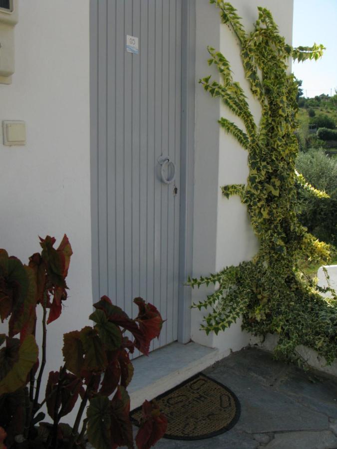 Marianna Studios Agios Petros  Екстериор снимка